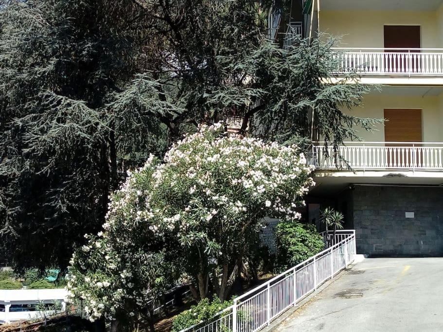 Alma Vacanza Rapallo Dış mekan fotoğraf